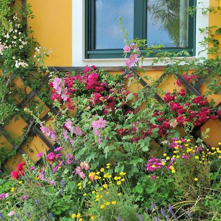 Sulamith Ferienhaus Mit Garten Санкт Катрайн ам Офенег Екстериор снимка