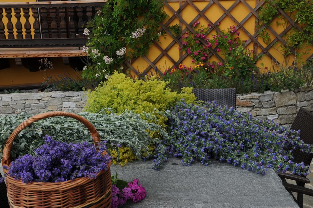 Sulamith Ferienhaus Mit Garten Санкт Катрайн ам Офенег Екстериор снимка