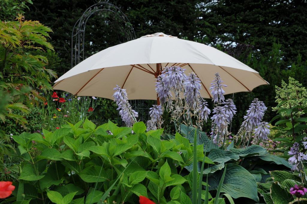 Sulamith Ferienhaus Mit Garten Санкт Катрайн ам Офенег Екстериор снимка