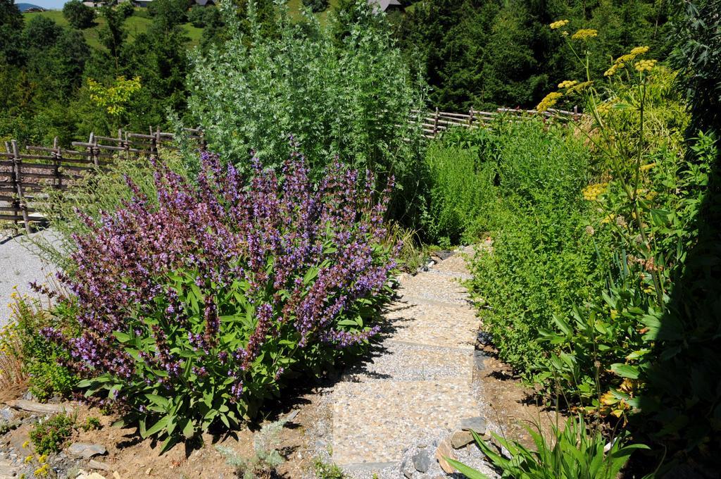Sulamith Ferienhaus Mit Garten Санкт Катрайн ам Офенег Екстериор снимка