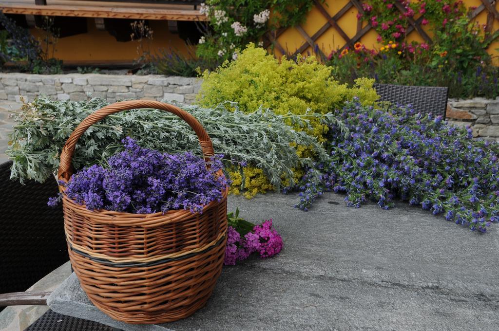 Sulamith Ferienhaus Mit Garten Санкт Катрайн ам Офенег Екстериор снимка